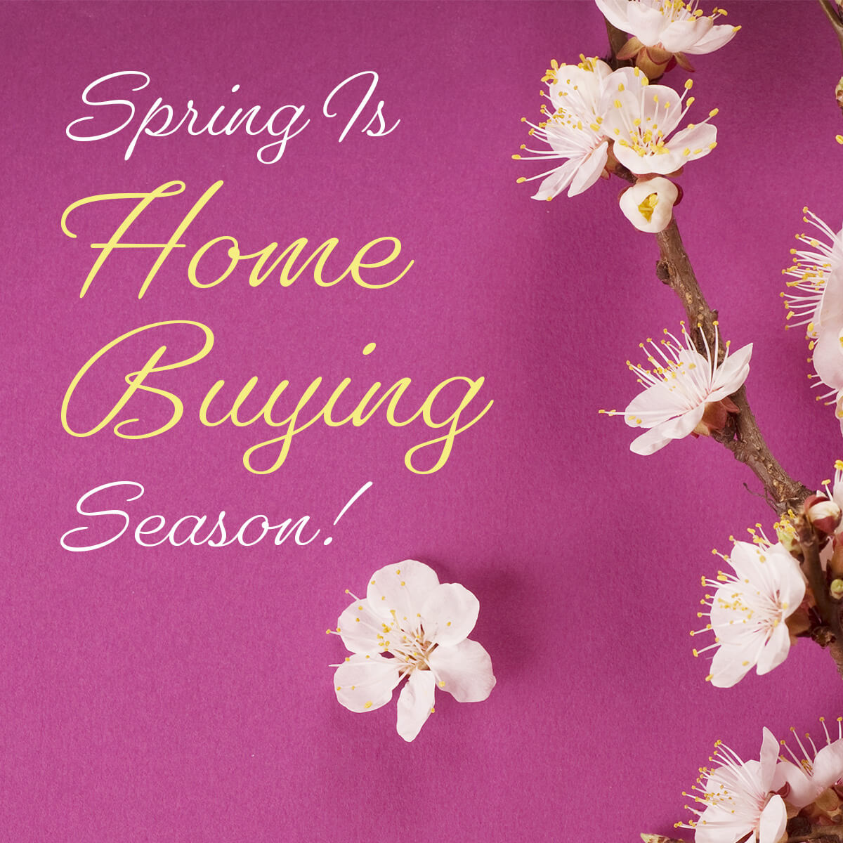 Spring is home buying season!