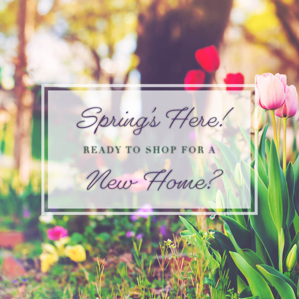 Ready to shop for a new home?