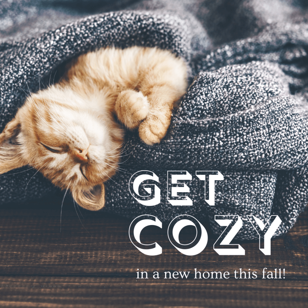 Get Cozy (Real Estate Autumn Social Graphics)